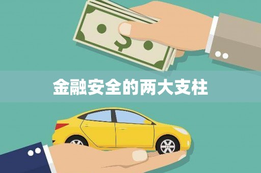 永安金融安全的两大支柱