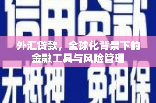 永安外汇贷款，全球化背景下的金融工具与风险管理