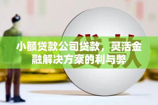 永安小额贷款公司贷款，灵活金融解决方案的利与弊
