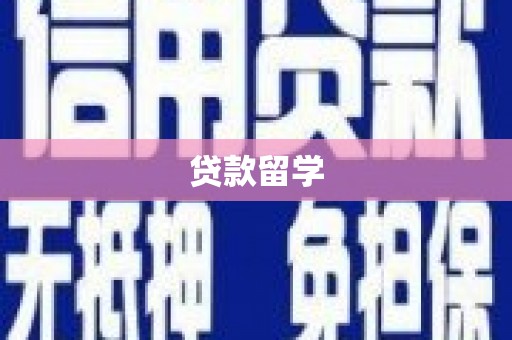 永安贷款留学