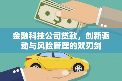 永安金融科技公司贷款，创新驱动与风险管理的双刃剑